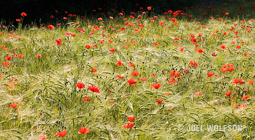 Joel Wolfson Photography Villages of Provence Photography Workshop and Really Fun Tour turn-key inclusive package for non-photo travel companions food wine lodging private drivers guides locals