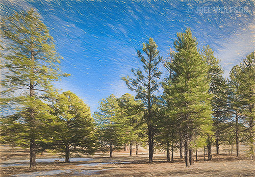 Impression Colored Pencil preset- I added a touch of saturation to it.
