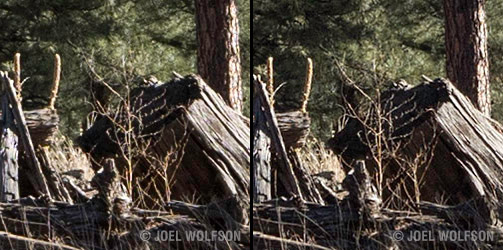 Here is a 100% crop from the central portion of the image. As you can see they are comparable with each other