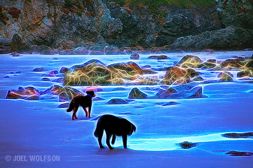 Low Tide Dogs Step 7 Glow-NNIII_Rocks_WM