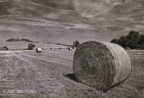 ©JWolfson_Vendemia_Toscana_AmbroAged_500px