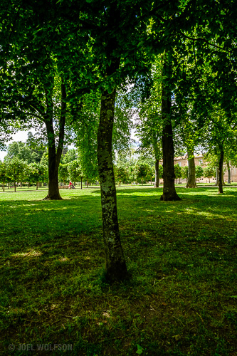 A nearby park in the small town where I stayed. I took my daughter there for the playground but I loved the feel of it- parts of it almost like an enchanted forest. I got in the shadows and up close to a tree because I liked the dappled light coming through with the forest like trees changing to an urban background of people and an art museum in the distance. X-Pro2 in EVF mode with Fujinon 14mm f2.8 (21mm FF equiv) f8.0, 1/320 sec., ISO 1250 