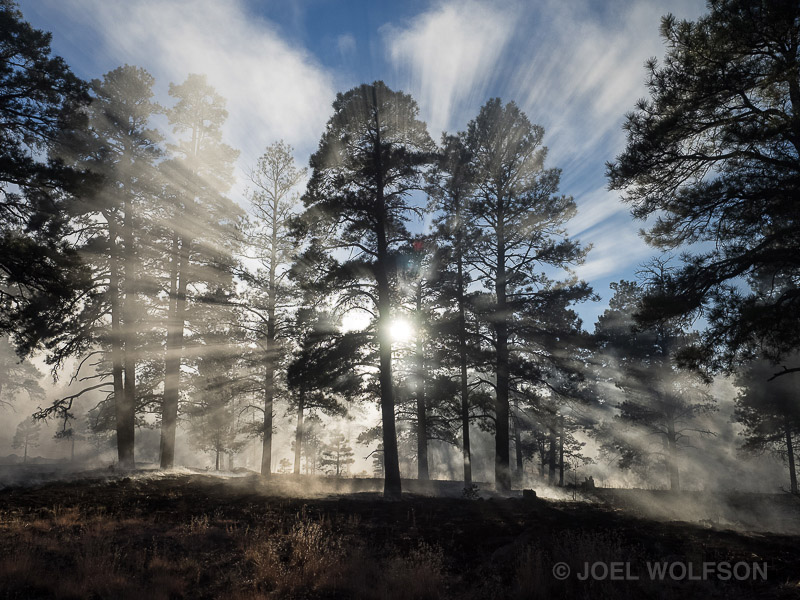 Why I Burned My Own Property and How I Photographed It.