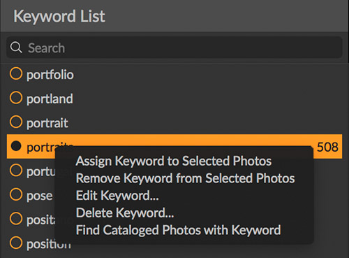 add a keyword in on1 photo raw 2019