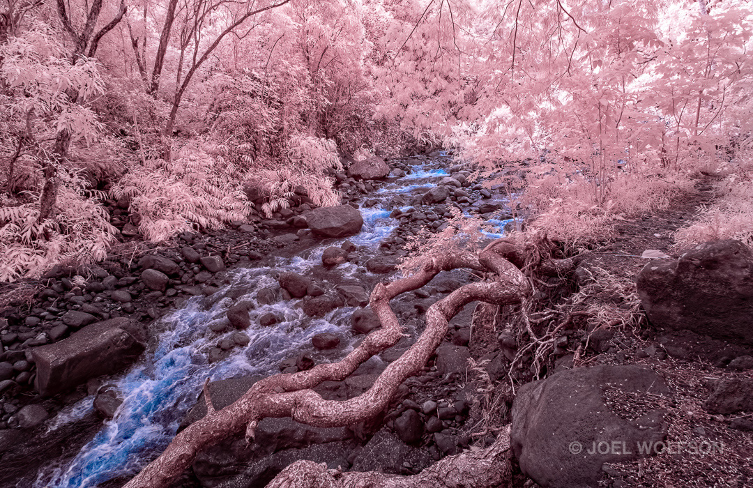 How To Choose Lenses for Infrared
